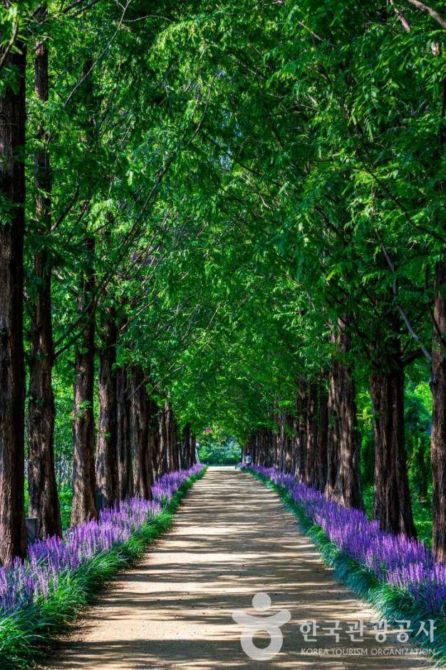 우로지 자연생태공원