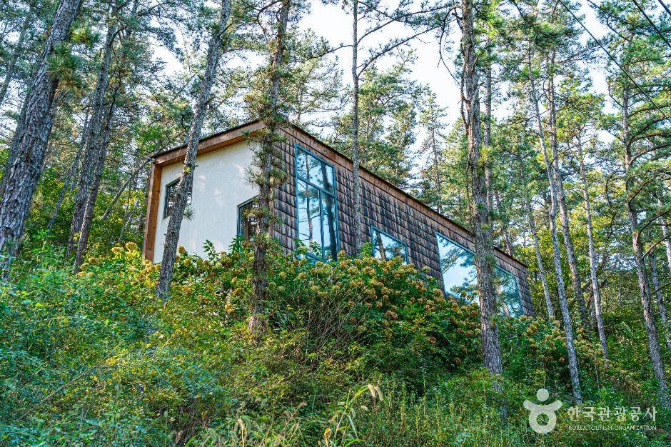 학산숲속시집도서관