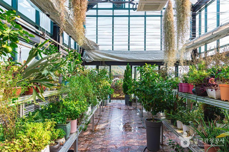 싱그랭이 에코정원