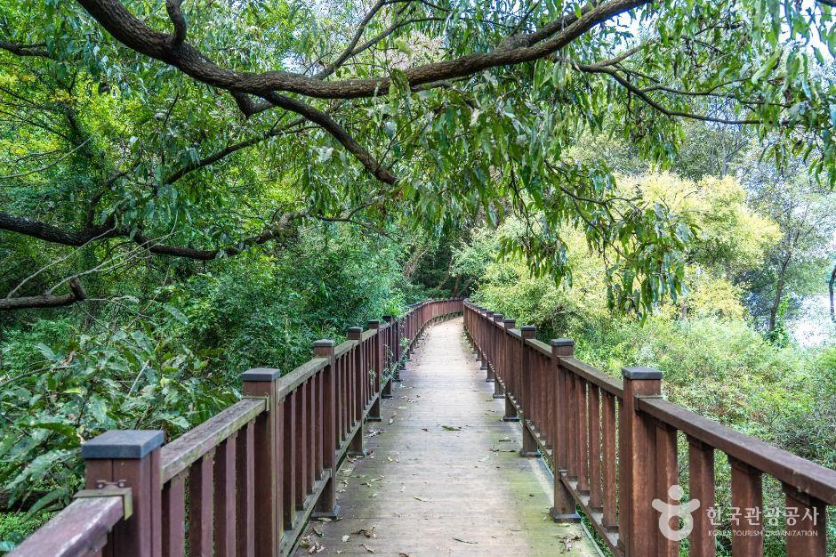 군산호수 둘레길