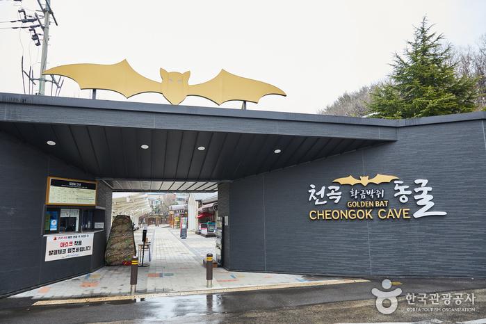 천곡황금박쥐동굴