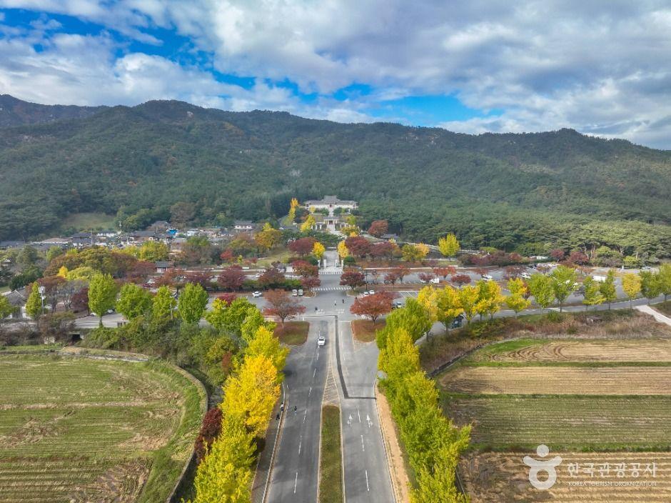 통일전 은행나무길