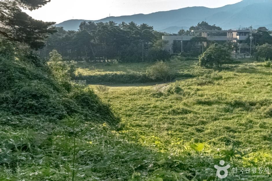 강릉 굴산사지