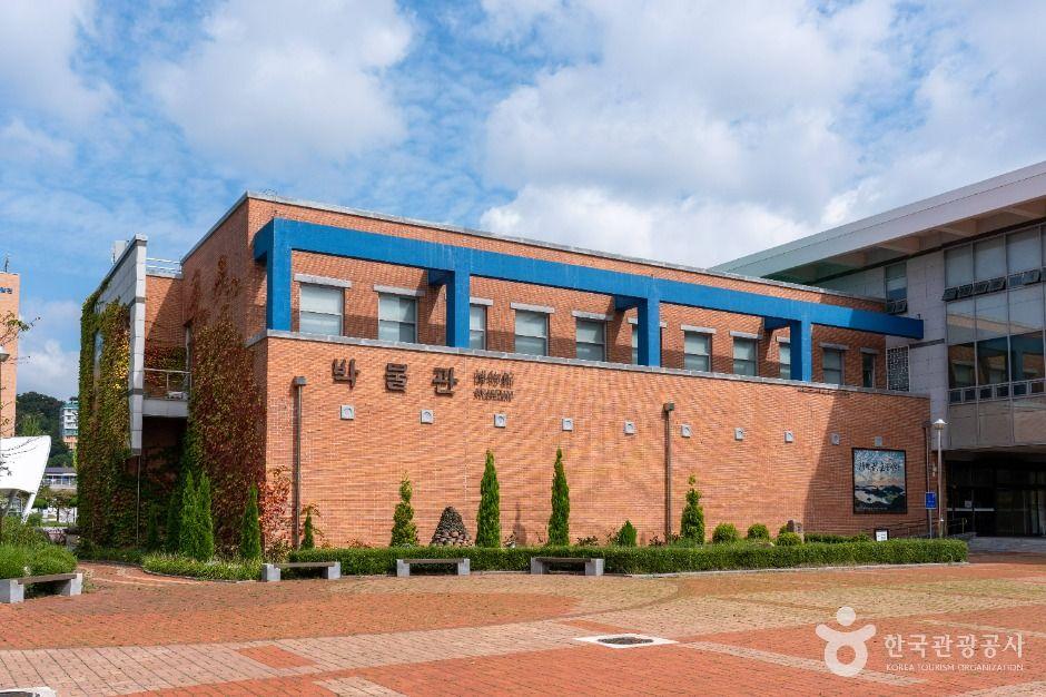 국립군산대학교 박물관