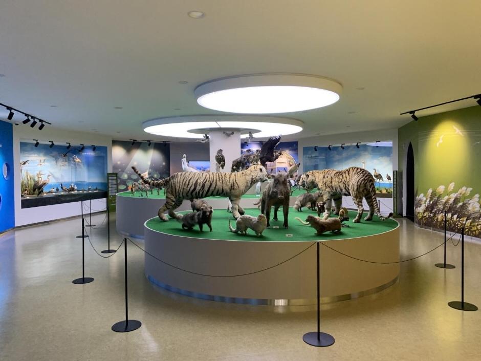 금강미래체험관