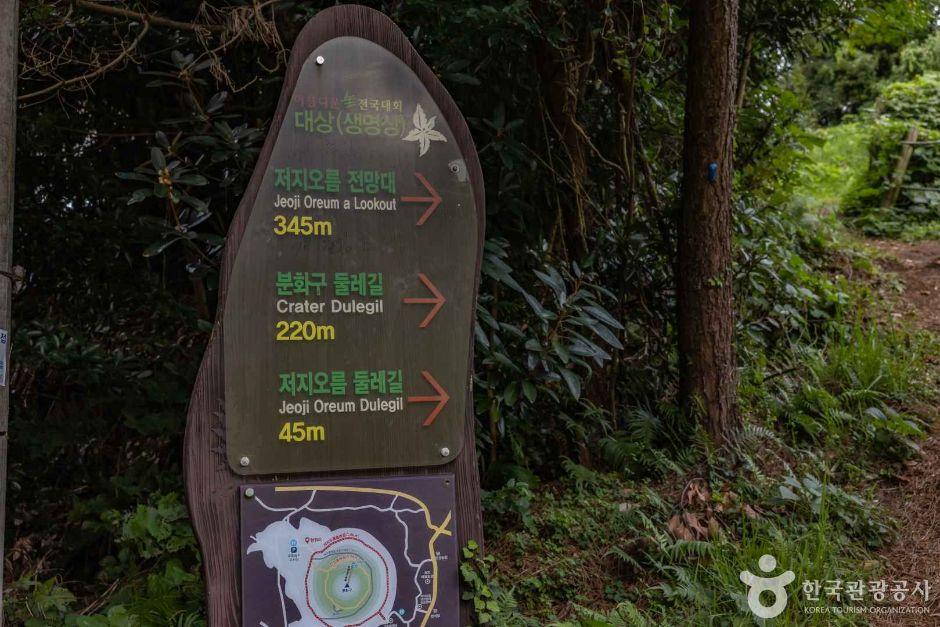 저지오름(닥몰오름,새오름)