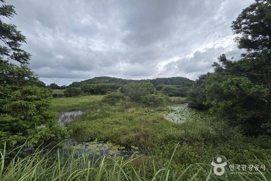 갈마못(갈뫼못)