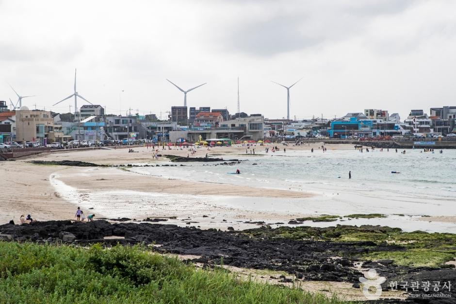 월정리해변(월정리해수욕장)