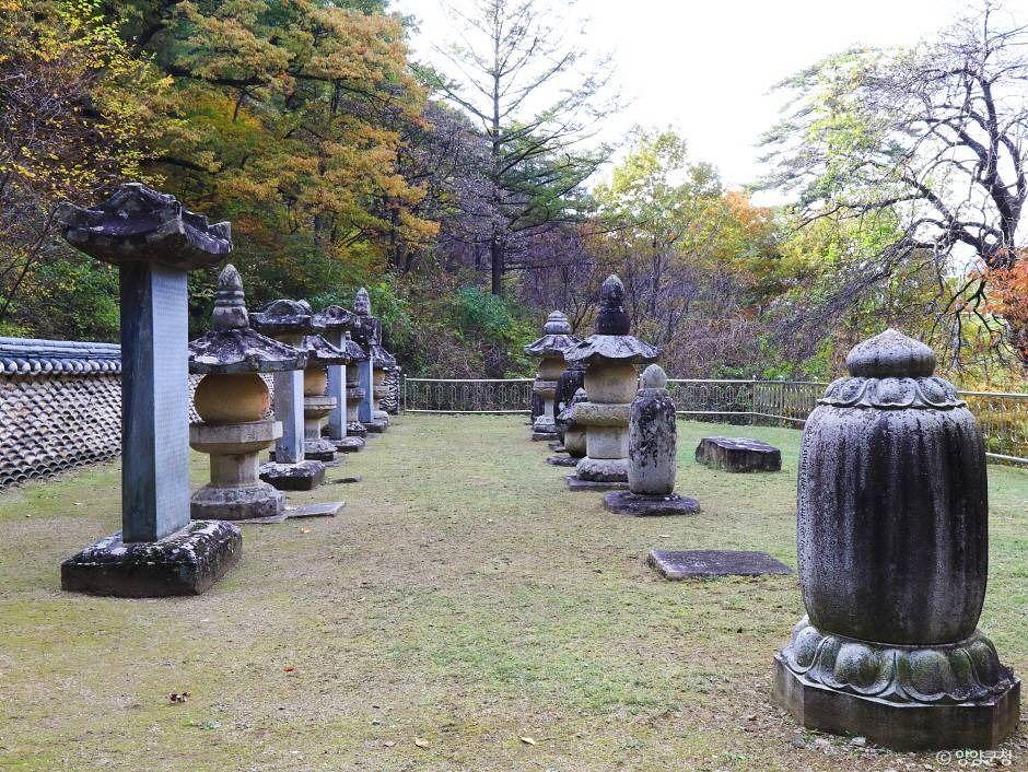 명주사부도군