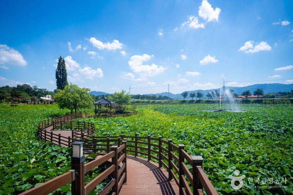 뒷미지수변공원