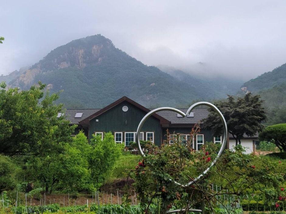 문경오미자체험촌