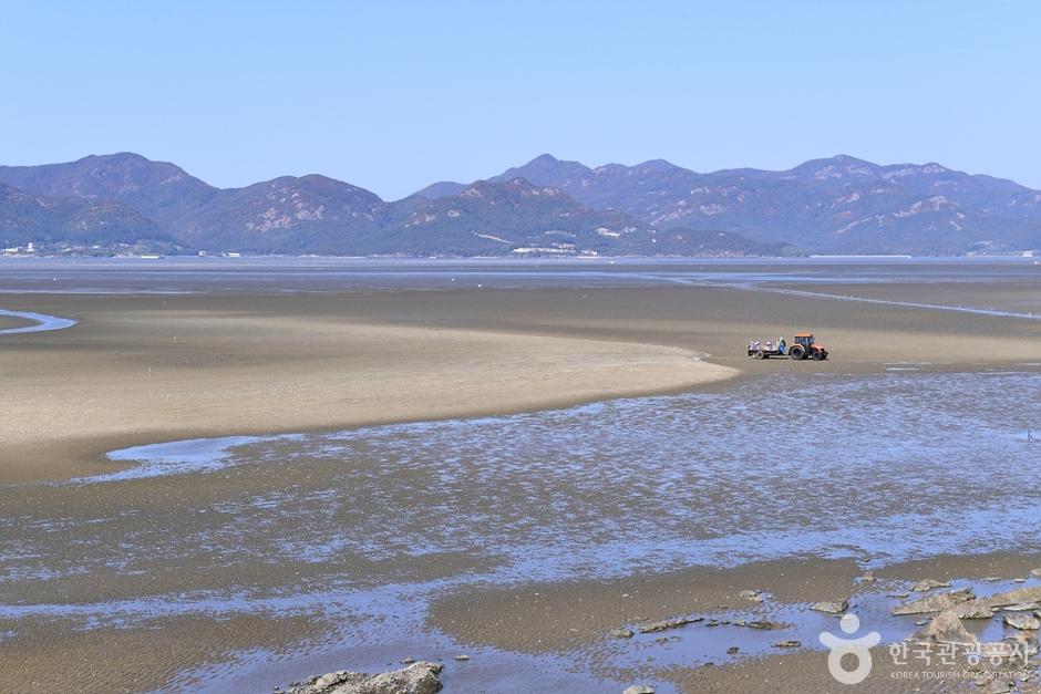 만돌갯벌체험학습장