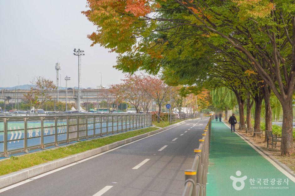 살곶이체육공원