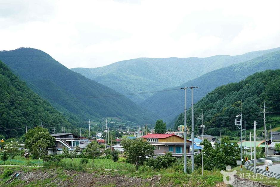 정선 가리왕산마을