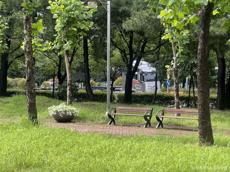 여기 부산 맞아?"... 강서구에 숨겨진 보람공원, 무료 피크닉 명소