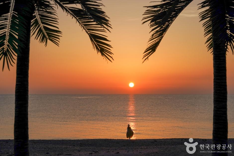 오류고아라해변