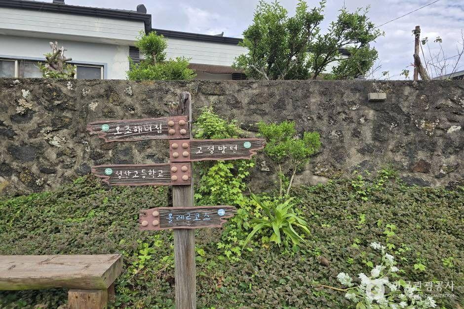 제주에 이런 곳이 있다고?"... 서귀포 오조마을, 걷기 좋은 1.5km 해안 산책로