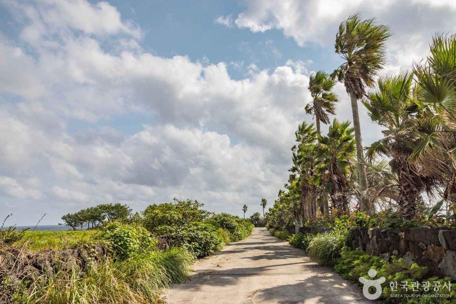 신풍 신천 바다목장