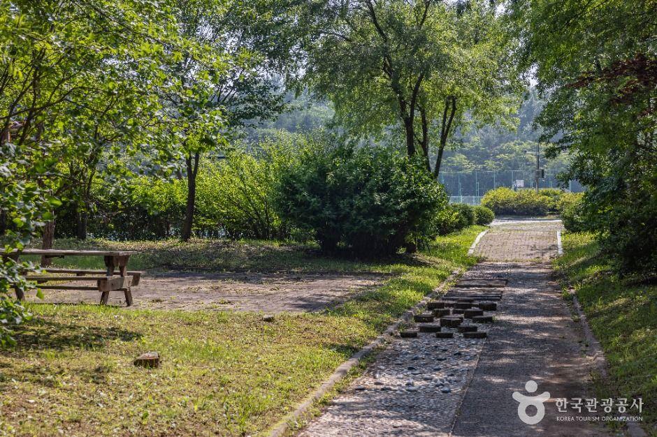 드림파크 주민체육공원