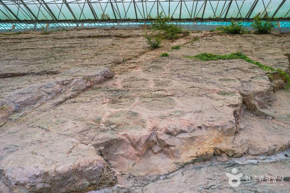 의성 제오리 공룡발자국 화석산지