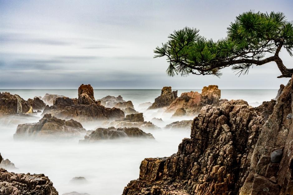 경정리 백악기 퇴적암 (경북 동해안 국가지질공원)