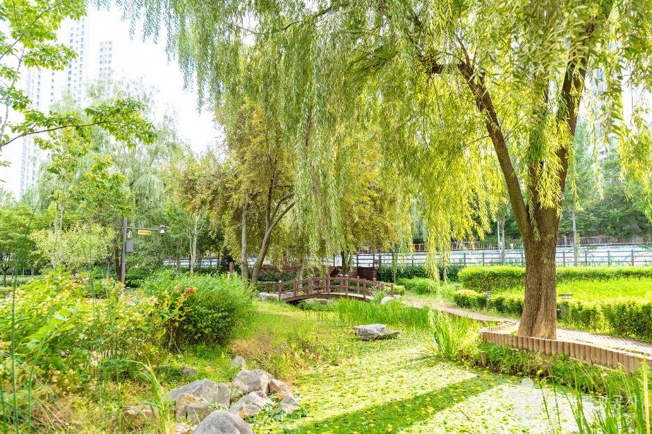 개봉유수지 생태공원