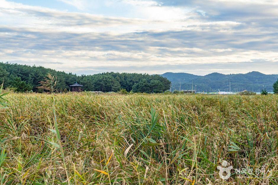 평해사구습지 생태공원