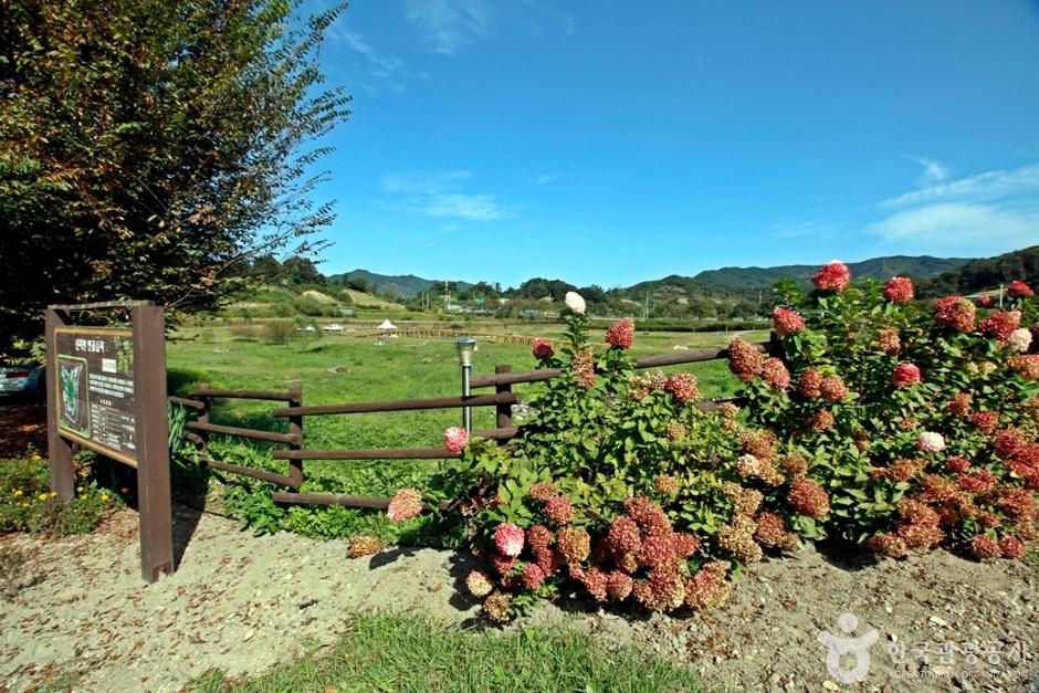 신지천 생태 습지