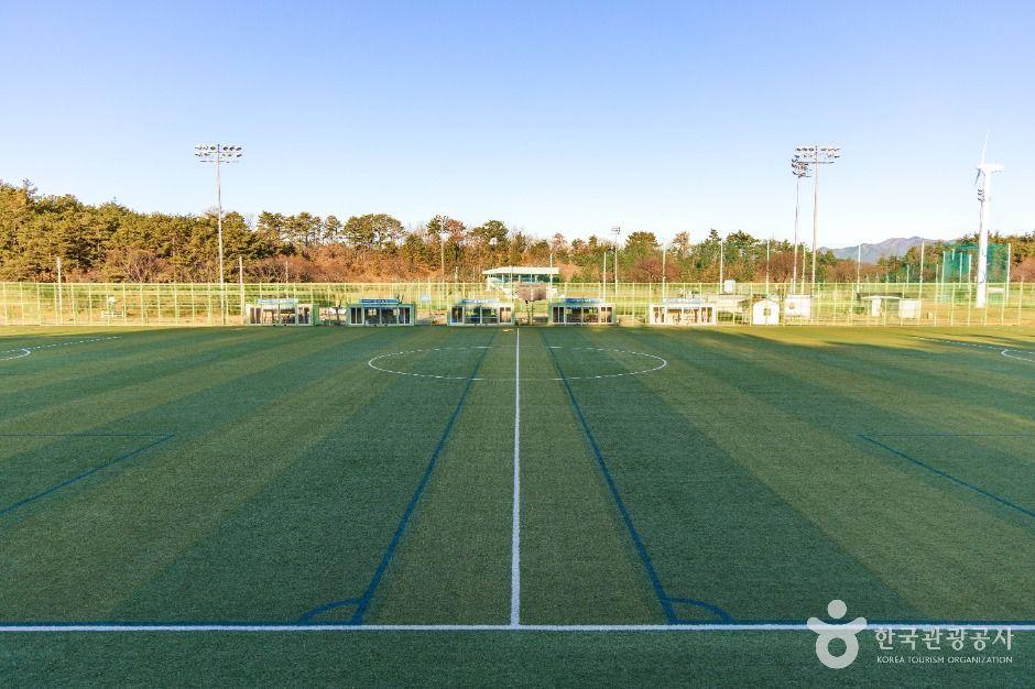 영해생활체육공원