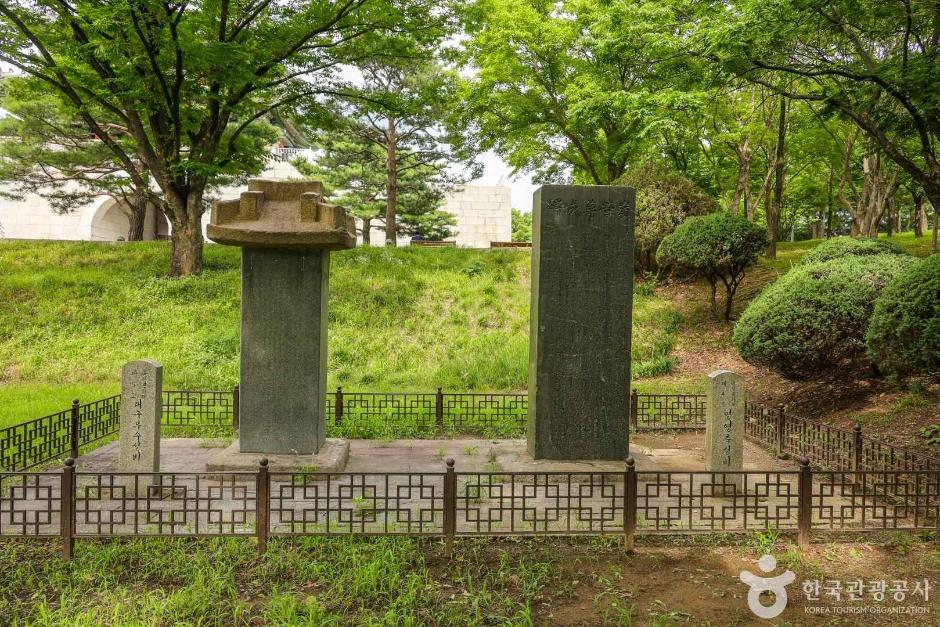 영영축성비