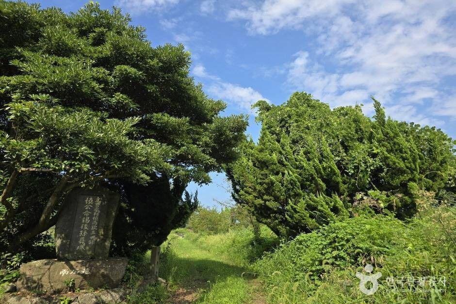 열안지오름(봉개동)