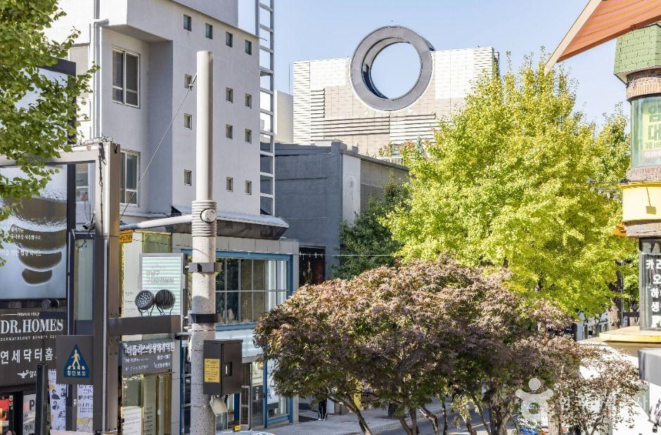 신사동 가로수길