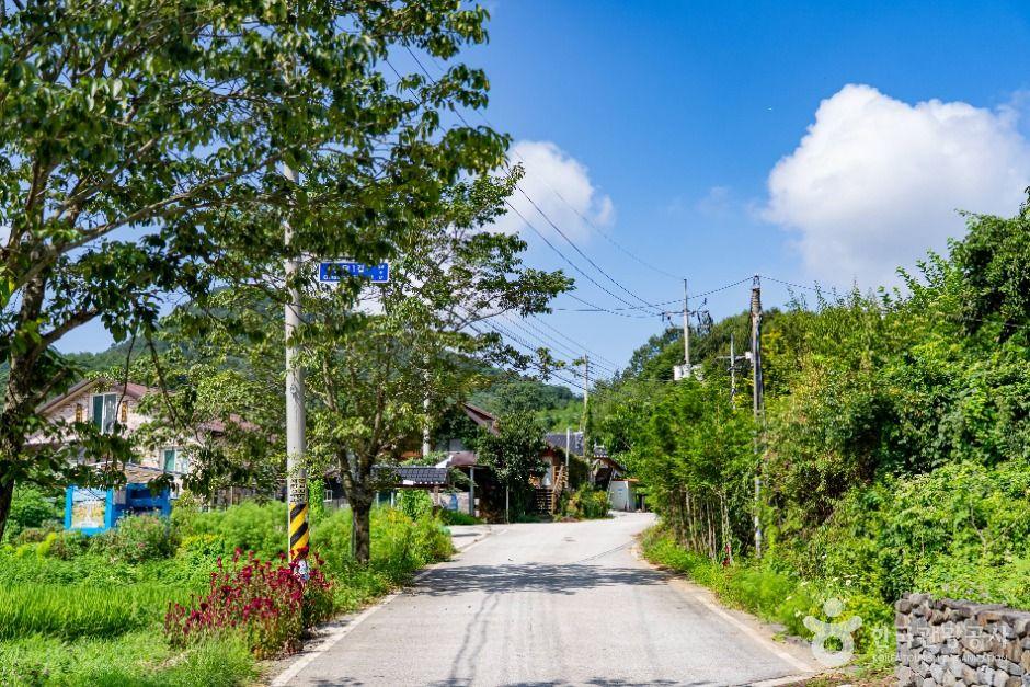 섬진강(천담,구담)