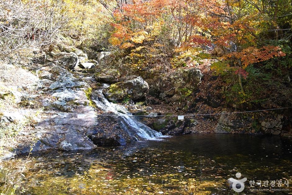 국립 복주산자연휴양림