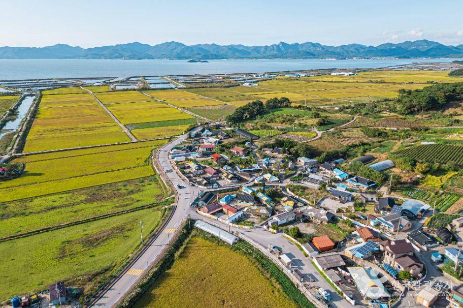 안현돋음볕마을