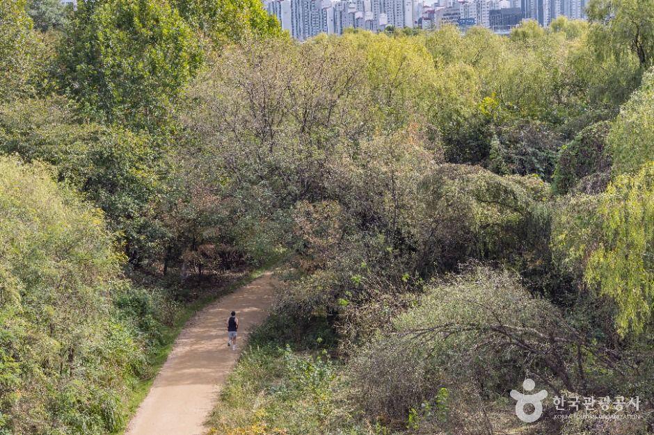 여의도샛강생태공원