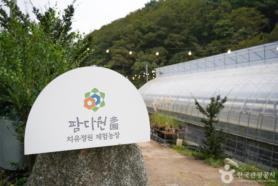 팜다원
