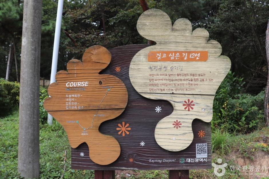 대전 도심 속 이런 곳이 있었다고?"... 1시간이면 오르는 대전 서구 내원사 힐링 코스