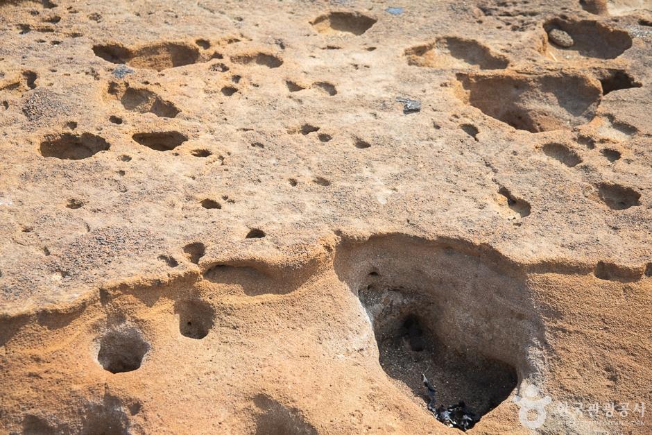 발자국화석공원