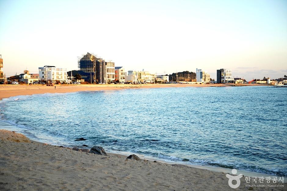 교암해변