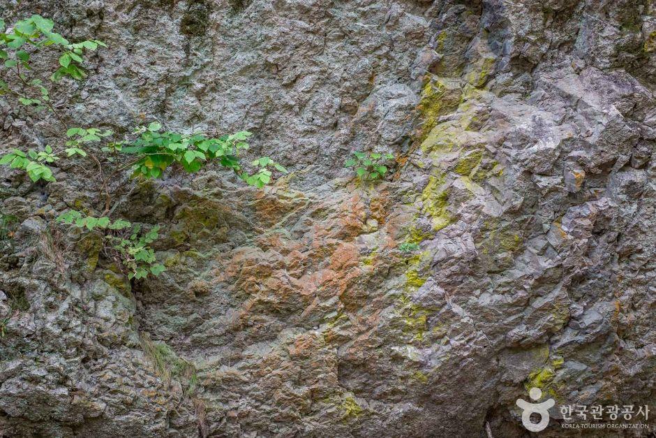 주방천 페퍼라이트