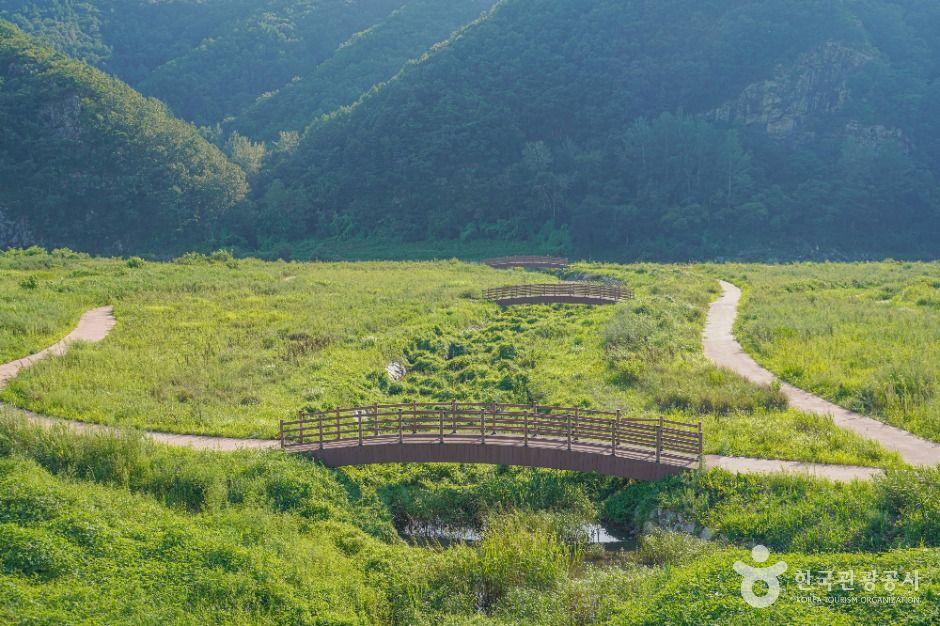 내도리강변유원지