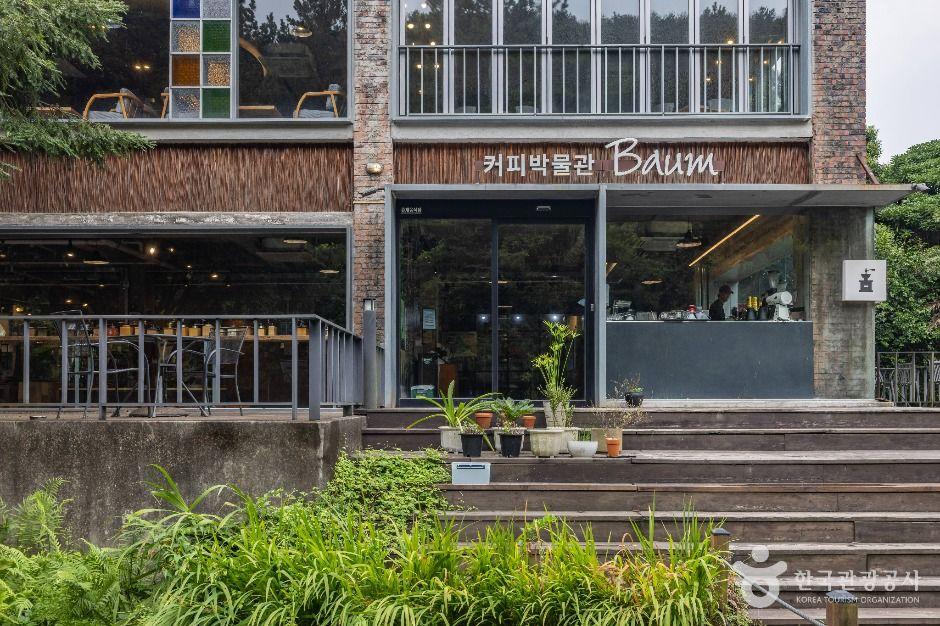 제주커피박물관 바움