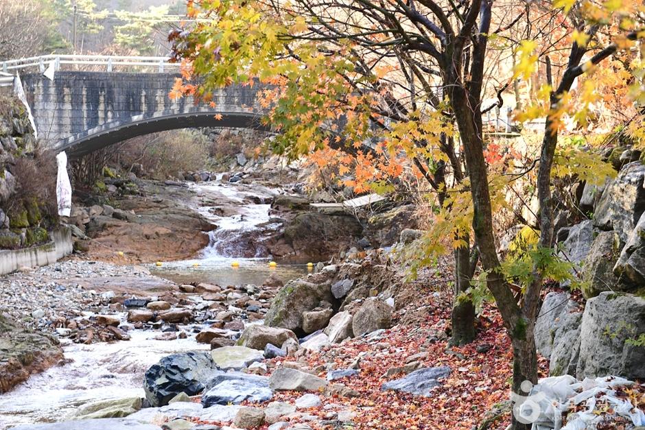 동상운장산계곡