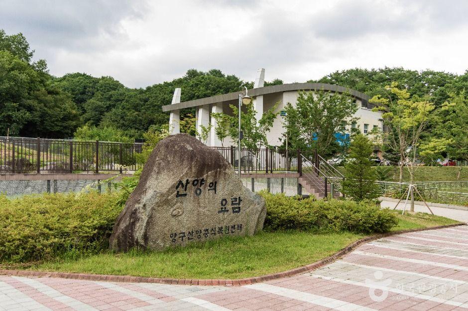 양구 산양·사향노루센터
