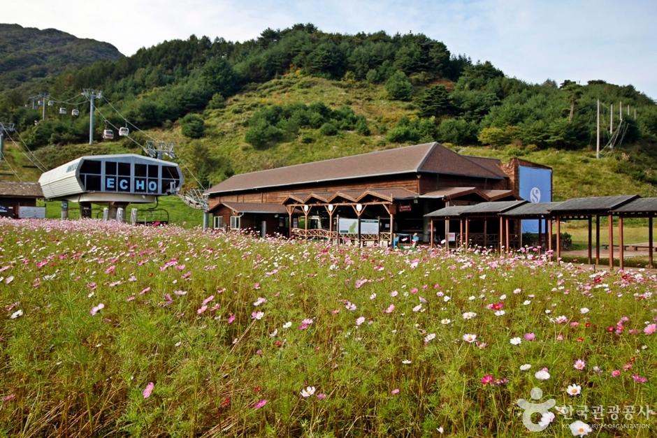 무주리조트 관광곤도라