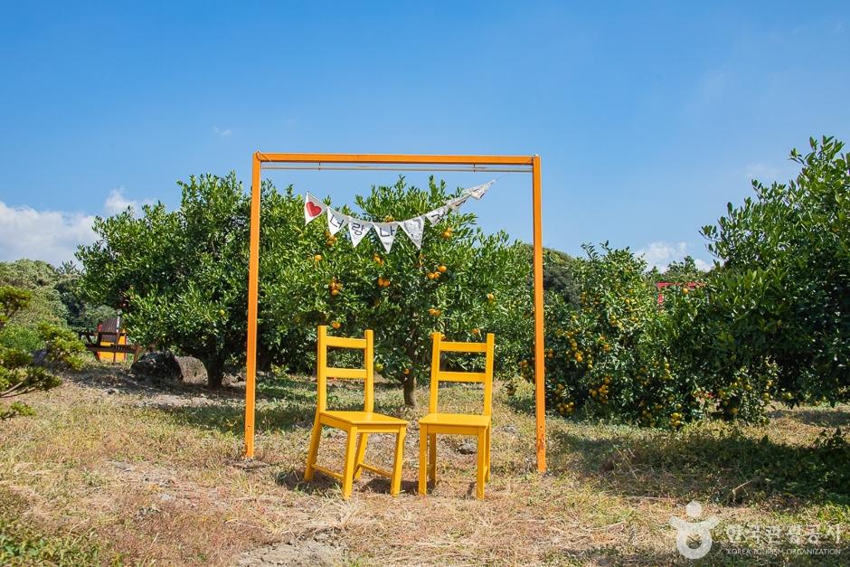 엉또돌다카페앤농원