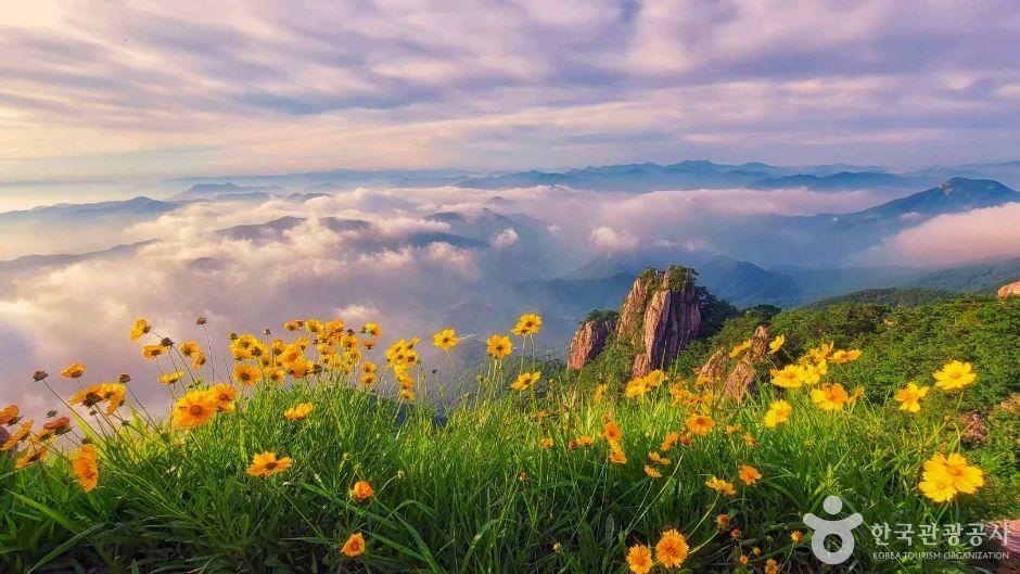 대둔산도립공원(전북)