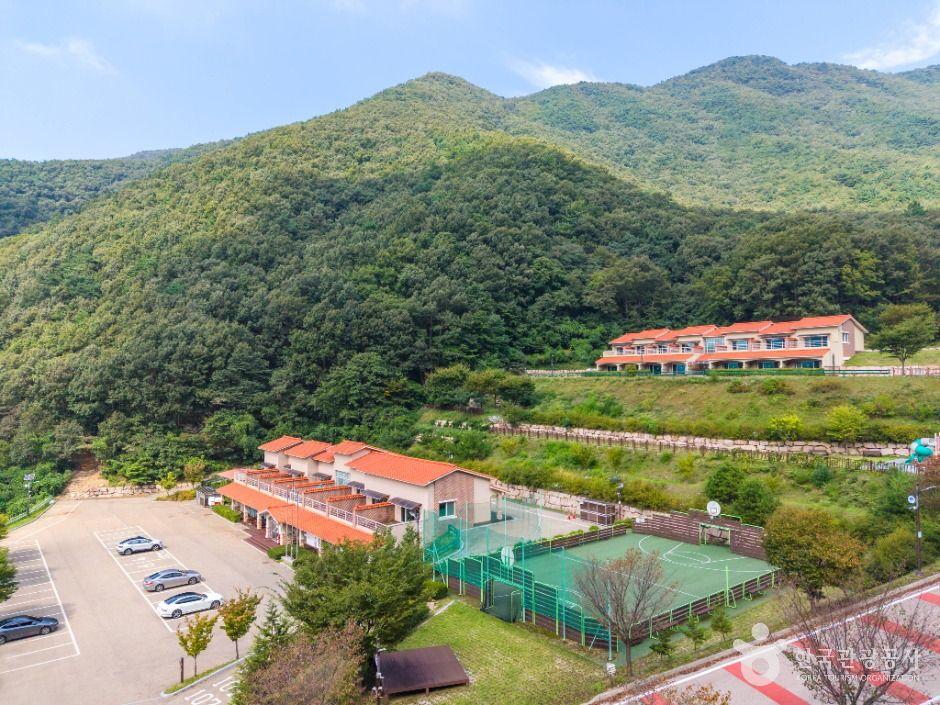 팔공산금화자연휴양림