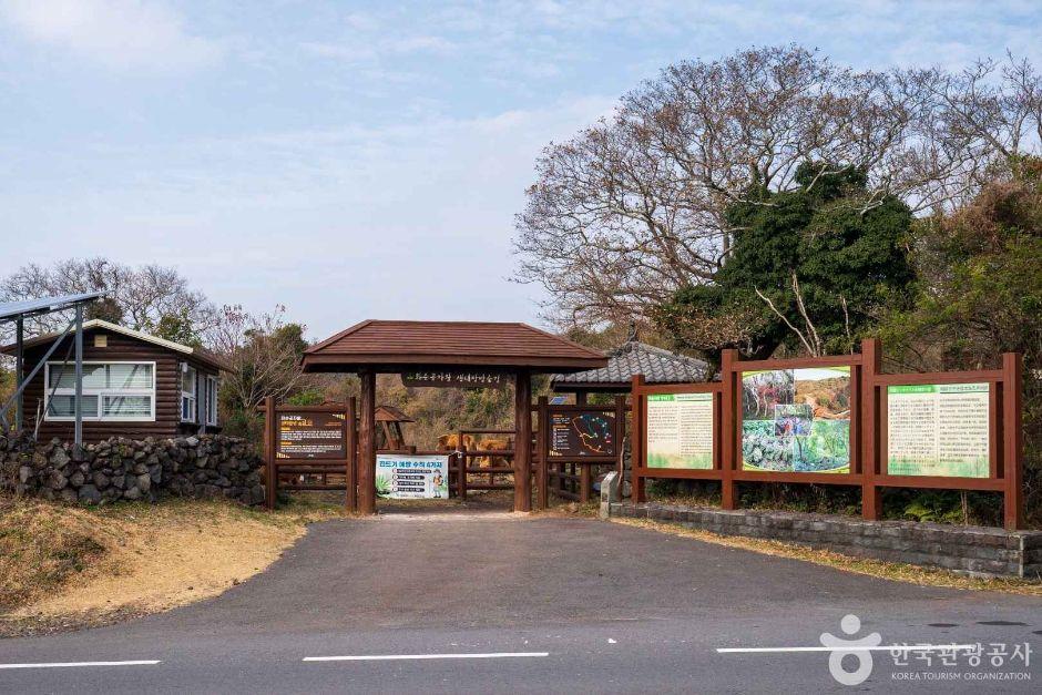 화순곶자왈 생태탐방숲길